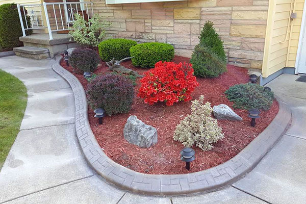 Share Your Experience